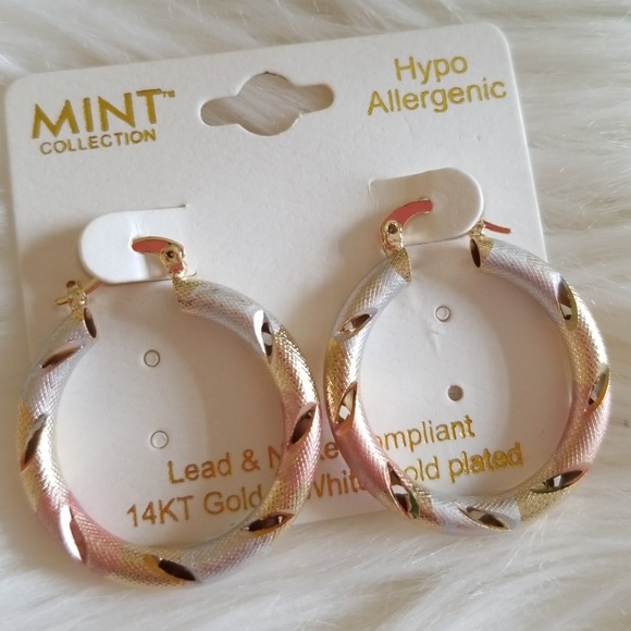 Mint Collection 14K Gold& White Gold Plated Hoop - Picture 3 of 3